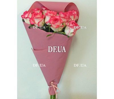 1 pink roses Jumilia - type 1