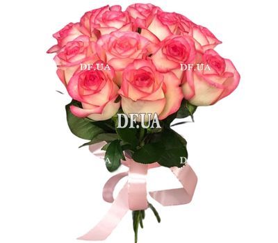 11 Jumilia roses