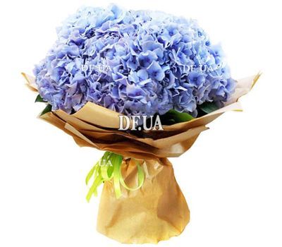 Bouquet of 5 hydrangeas