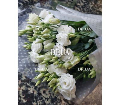 Bouquet from eustomas - 2