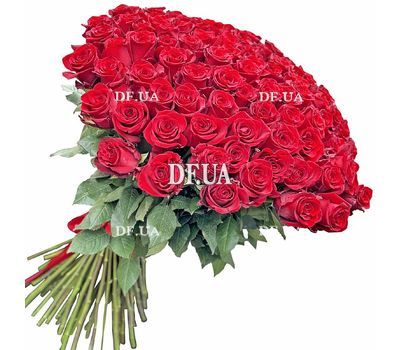 Dutch meter 101 roses