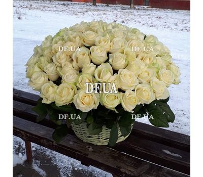 Basket 101 white rose buy 1
