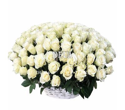 Basket 101 white roses