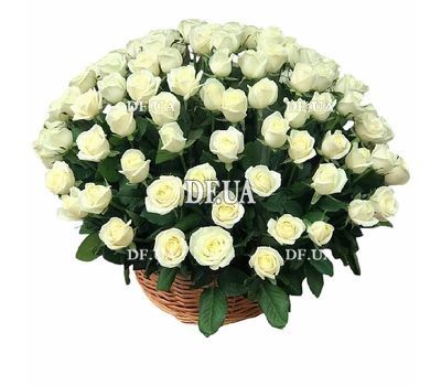 A basket of 101 white roses