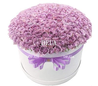 Huge box of lilac roses Memory Lane