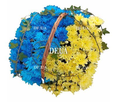 Yellow-blue flowers in a basket - photo 2
