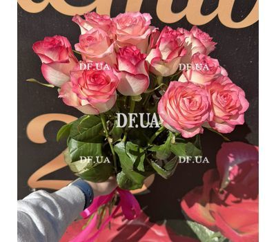 11 Jumilia roses - 1