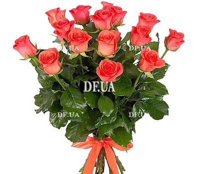 15 orange roses