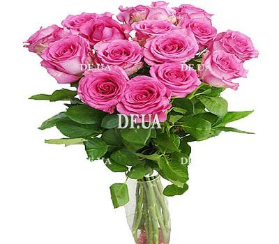 Bouquet of 17 roses