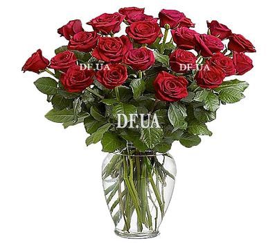 21 red roses