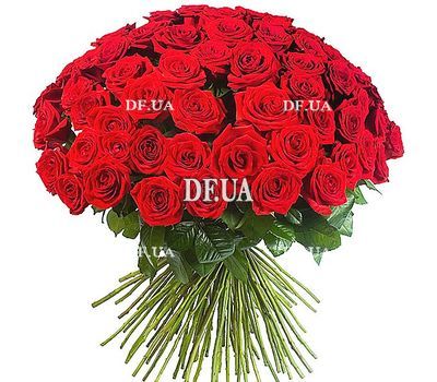 65 red roses