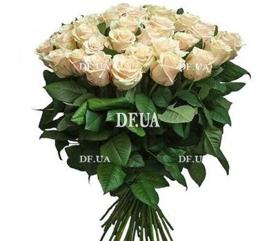 Bouquet of 29 roses