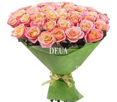 41 роза мисс пигги