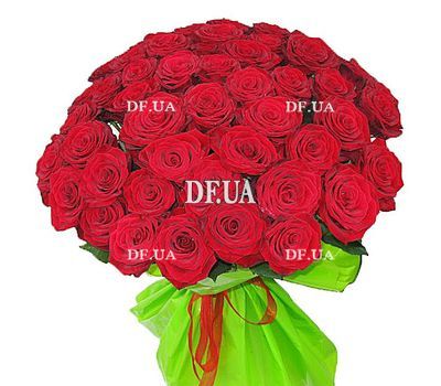 47 red roses