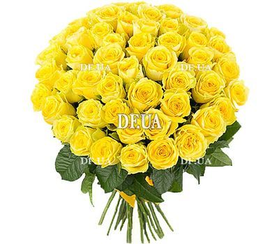 51 yellow rose