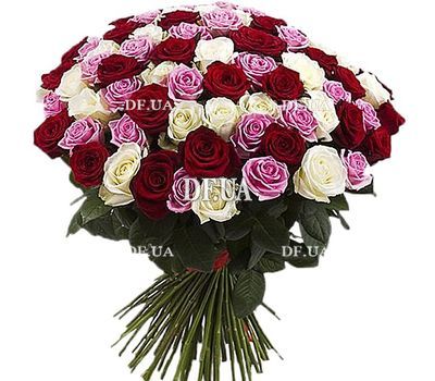 65 multi-colored roses