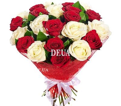 25 red and white roses