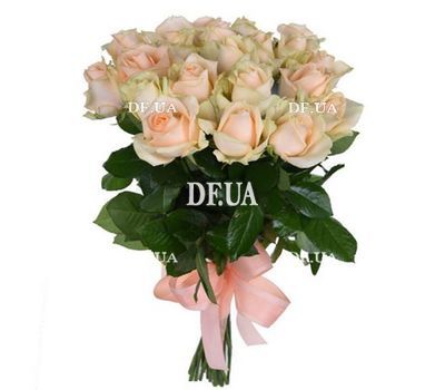 19 Cream Roses
