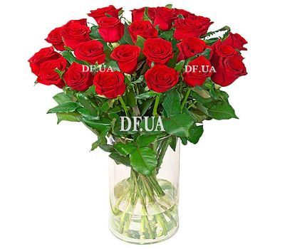 23 red roses