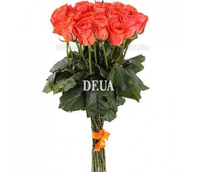 19 orange roses