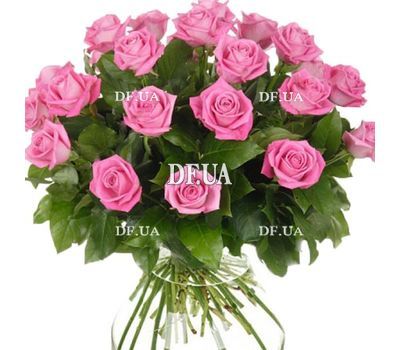 Bouquet of 27 roses