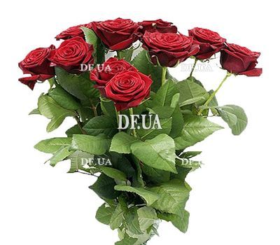 15 red roses