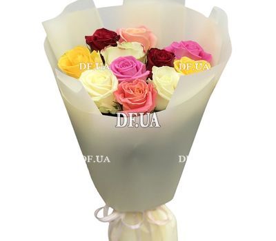 11 multi-colored roses