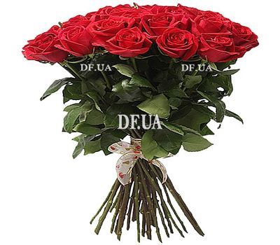 37 red roses