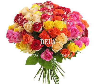 51 multi-colored rose